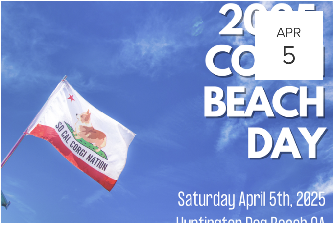 2025 SPRING CORGI BEACH DAY